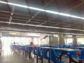 学校食堂窗口技术转让 机遇、流程与注意事项