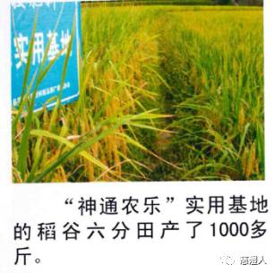 北京神通农乐生物高科技技术转让 绿色农业的创新驱动